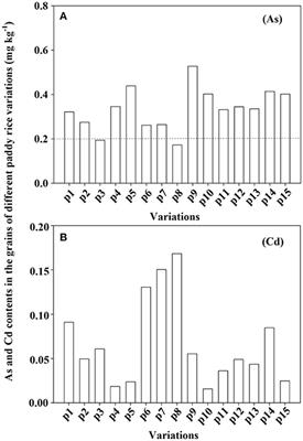 Performances of Water Management, Foliage Dressing, and Variation Screening in Controlling the Accumulation of As and Cd and Maintaining the Concentrations of Essential Elements in the Grains of Rice Plant